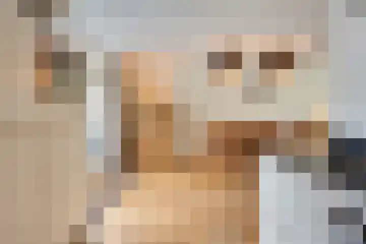 De Hoge Wal 32 Heesch thumbnail 10