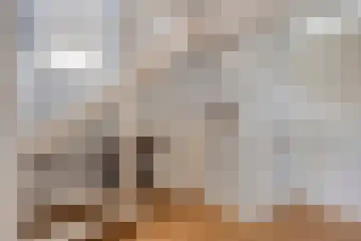 De Hoge Wal 32 Heesch thumbnail 15
