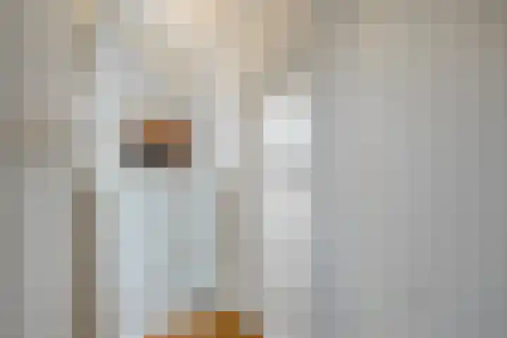 De Hoge Wal 32 Heesch thumbnail 23