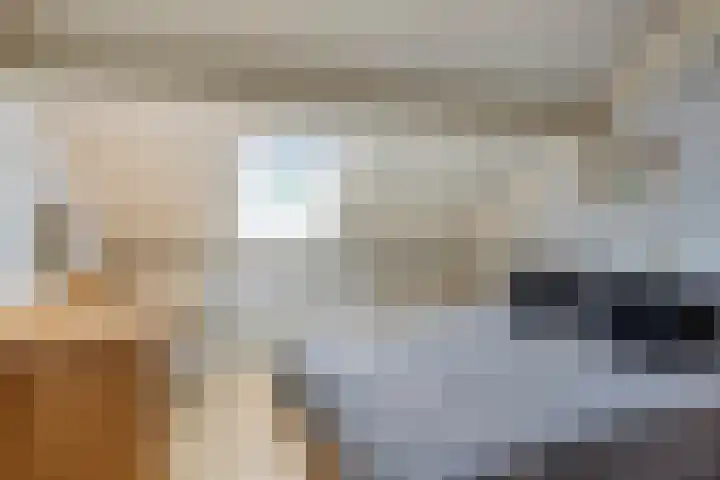 De Hoge Wal 32 Heesch thumbnail 24