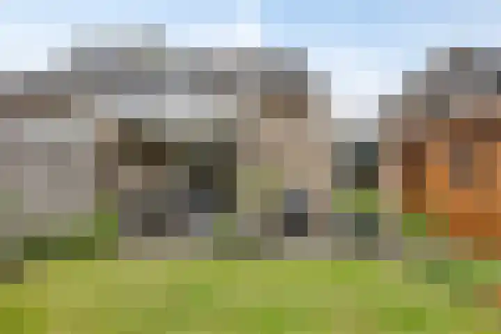 De Hoge Wal 32 Heesch thumbnail 28