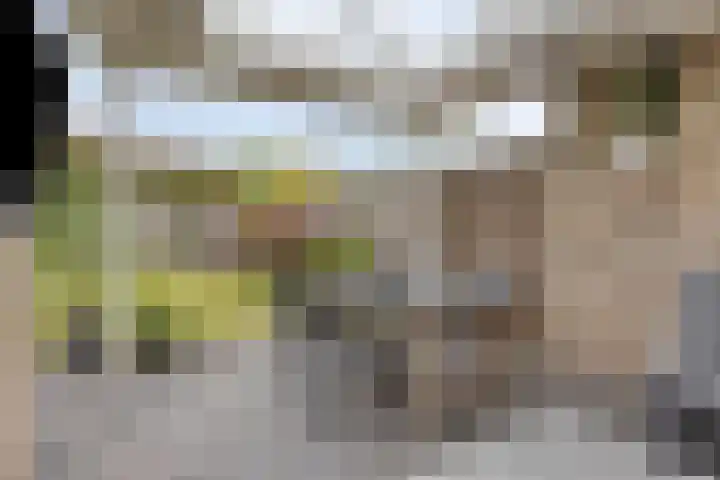 De Hoge Wal 32 Heesch thumbnail 29