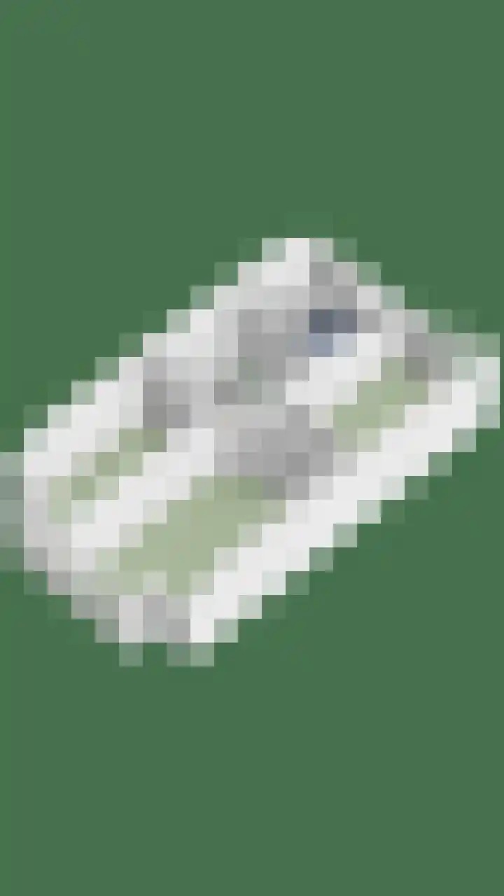 De Hoge Wal 32 Heesch thumbnail 43