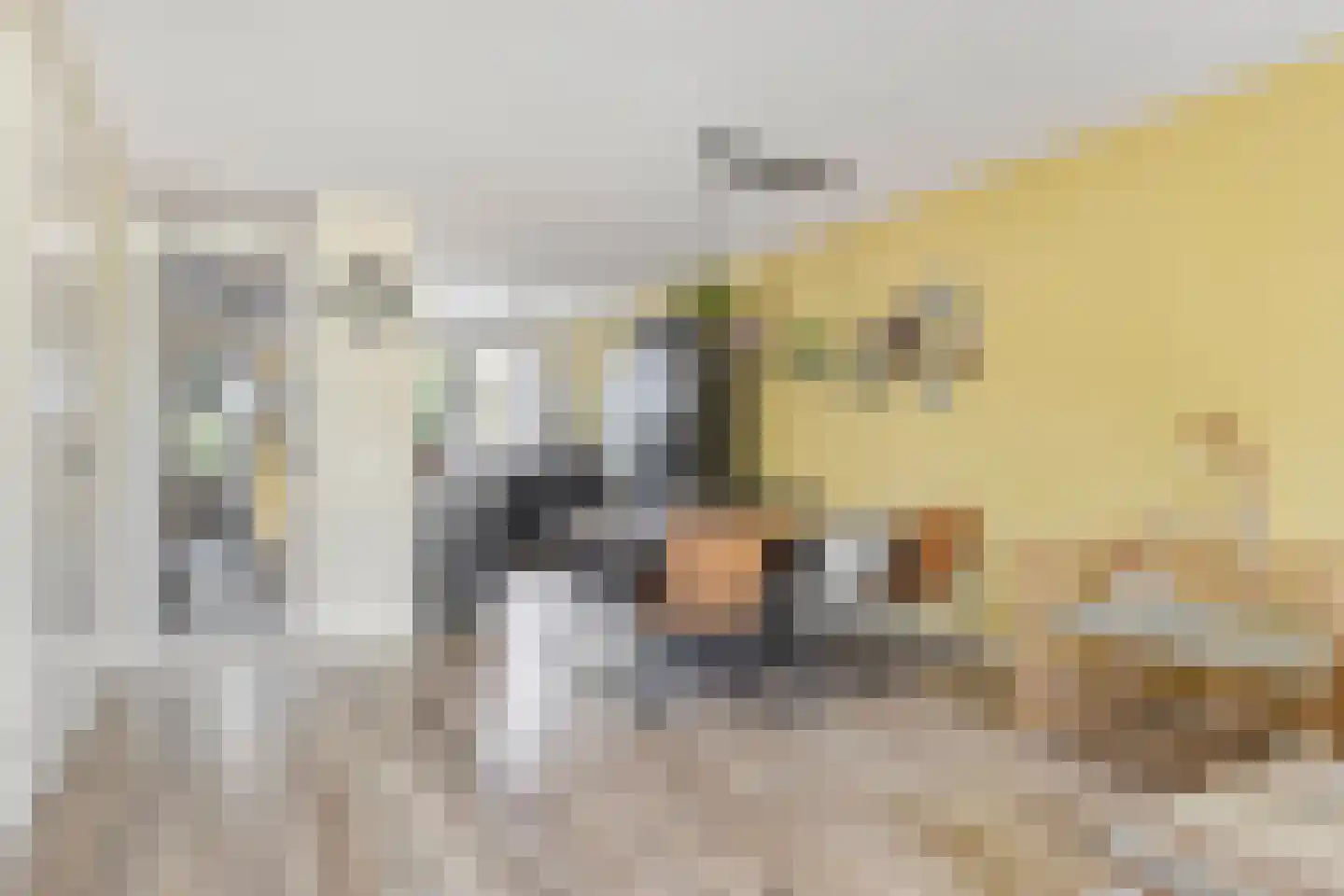 De Hoge Wei 5 Oosterhout thumbnail 11