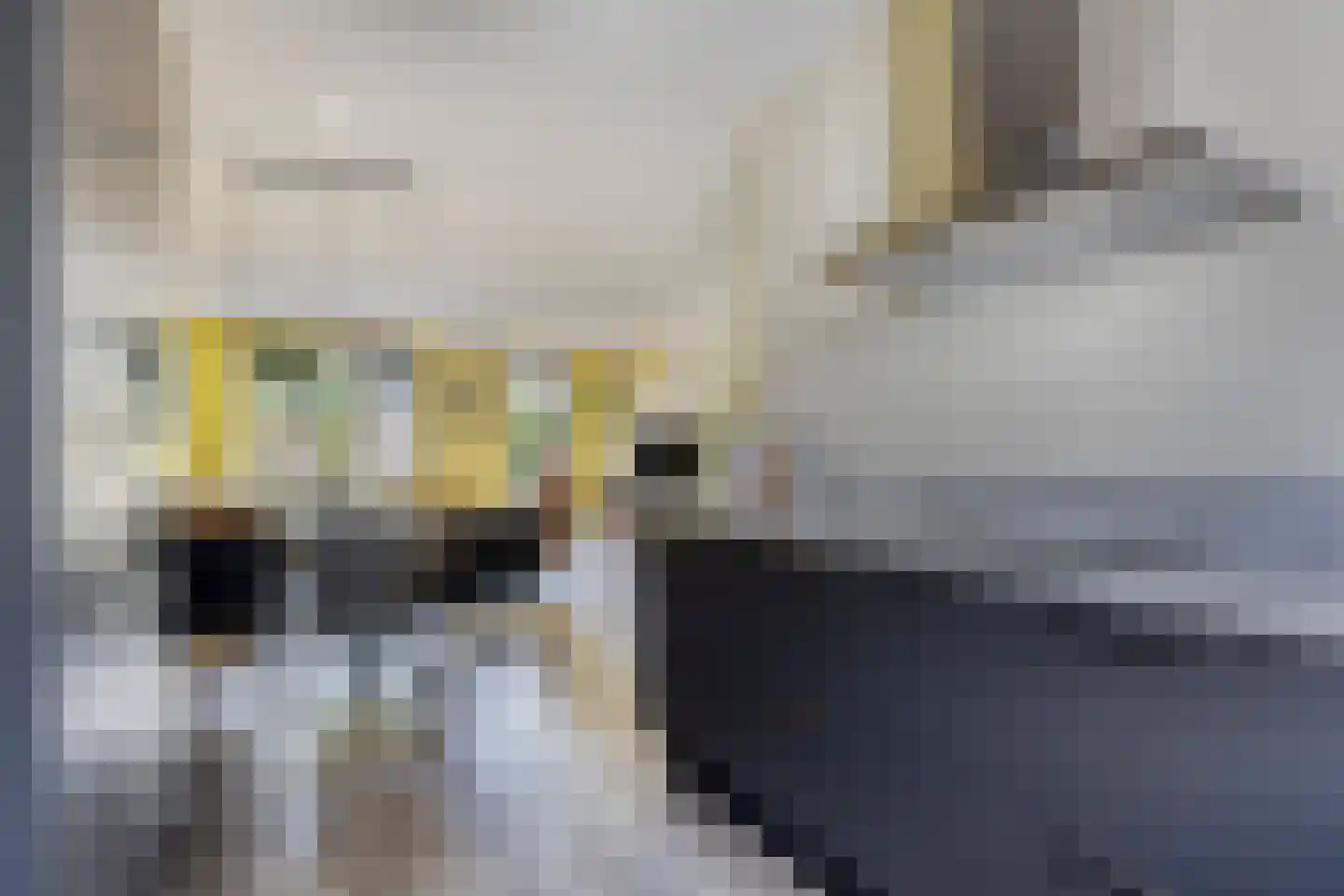 De Hoge Wei 5 Oosterhout thumbnail 14