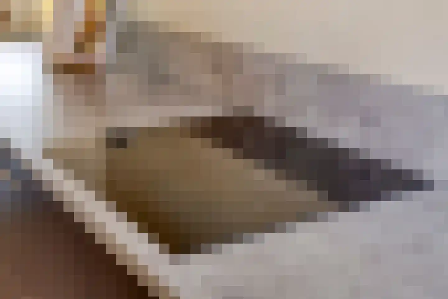 De Hoge Wei 5 Oosterhout thumbnail 17