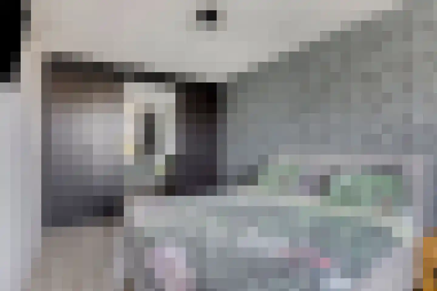 De Hoge Wei 5 Oosterhout thumbnail 22