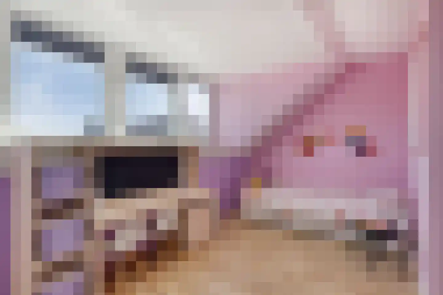 De Hoge Wei 5 Oosterhout thumbnail 28