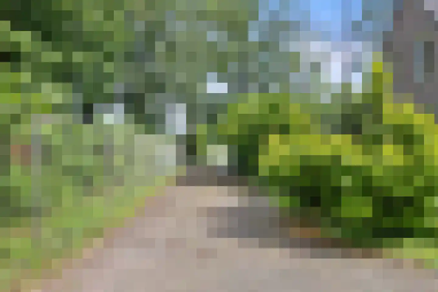 De Hogert 1 Gemonde thumbnail 10