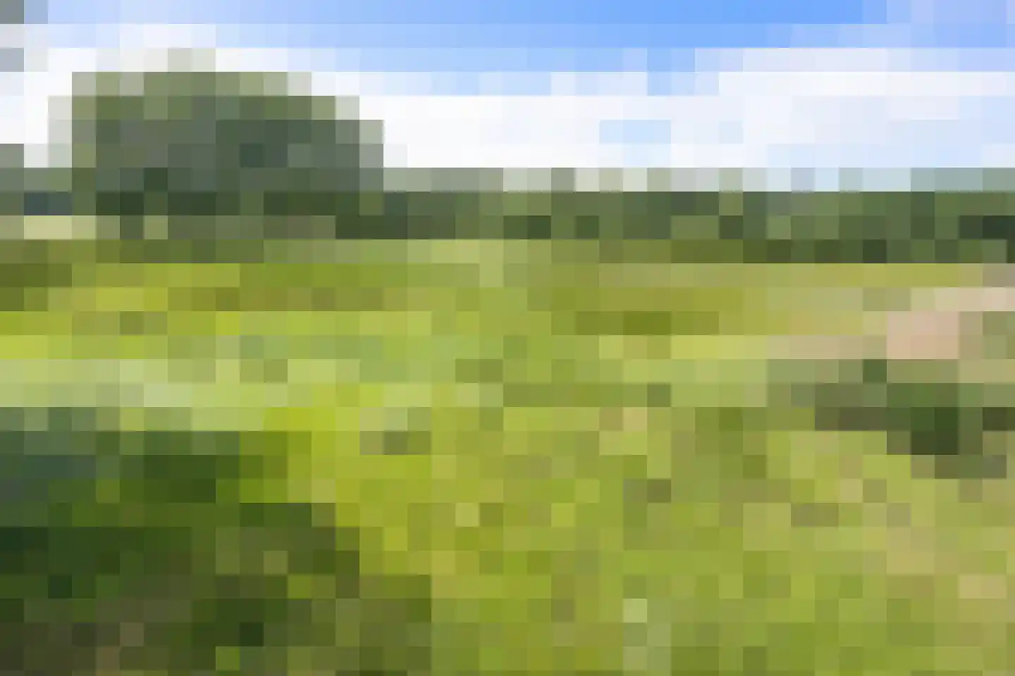 De Hogert 1 Gemonde thumbnail 11