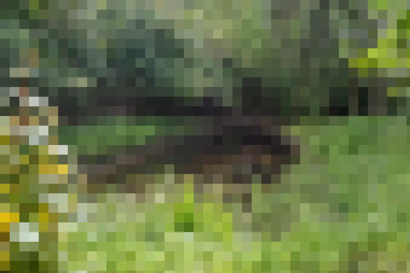 De Hogert 1 Gemonde thumbnail 12