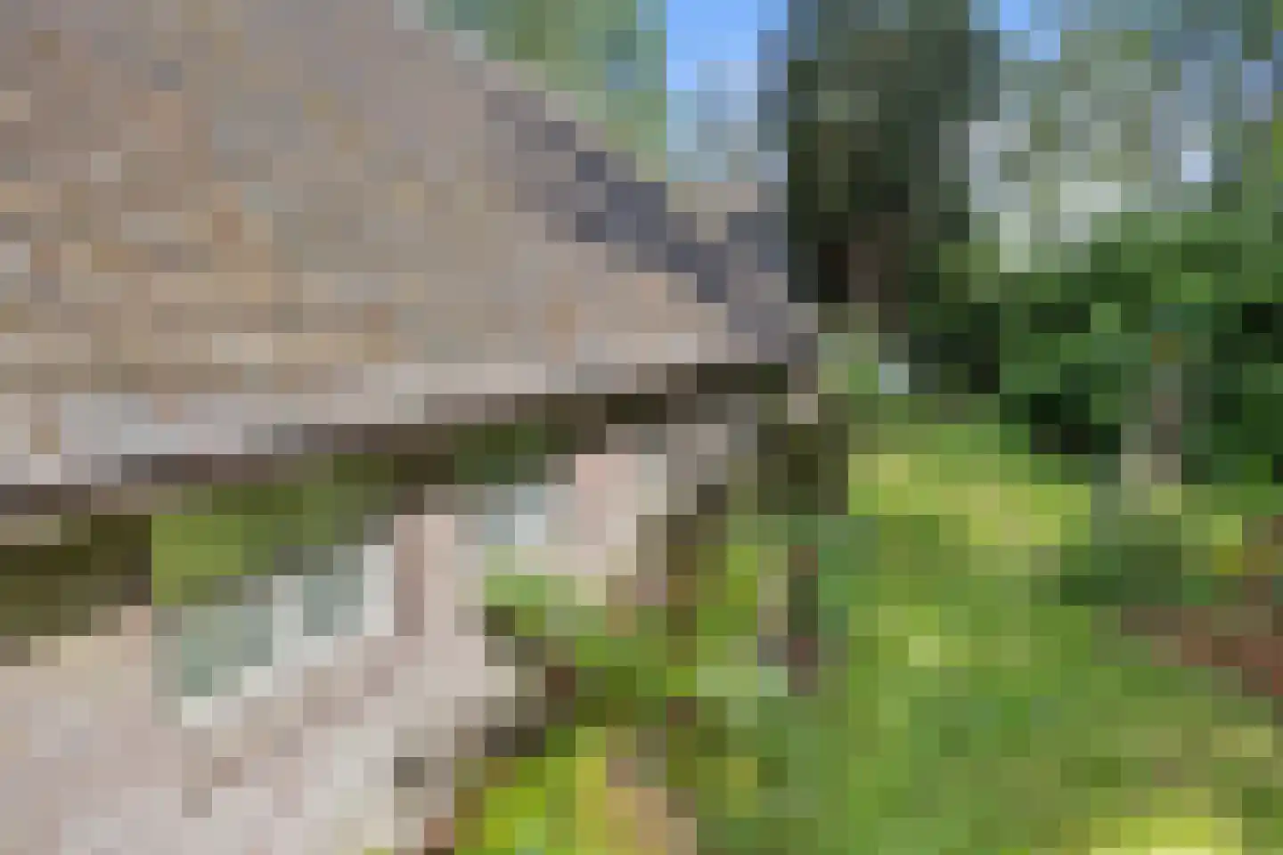 De Hogert 1 Gemonde thumbnail 13