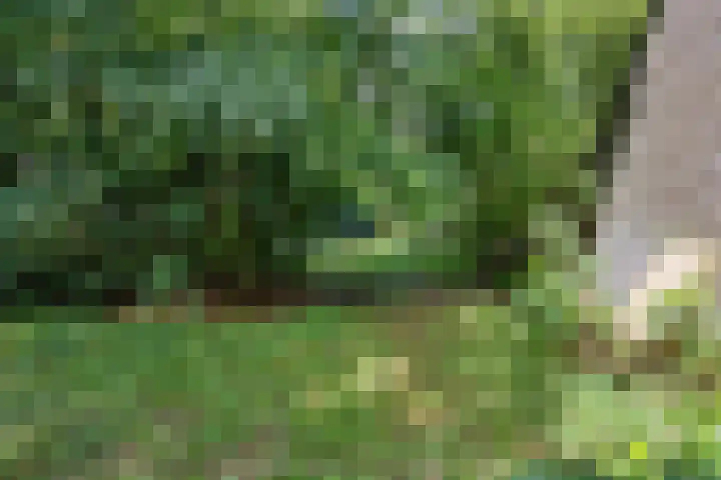 De Hogert 1 Gemonde thumbnail 14