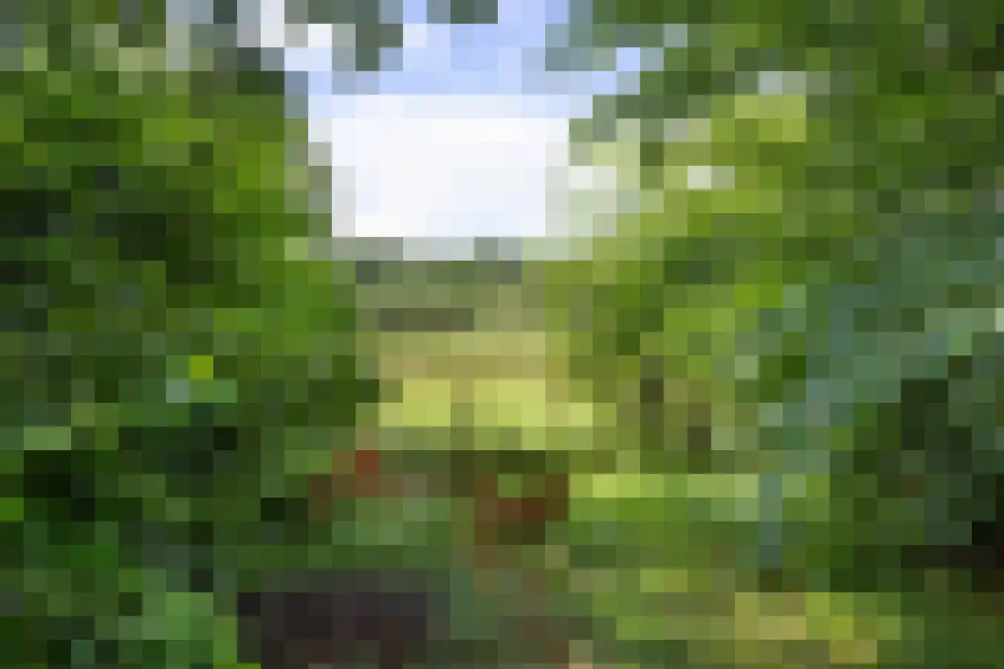 De Hogert 1 Gemonde thumbnail 15
