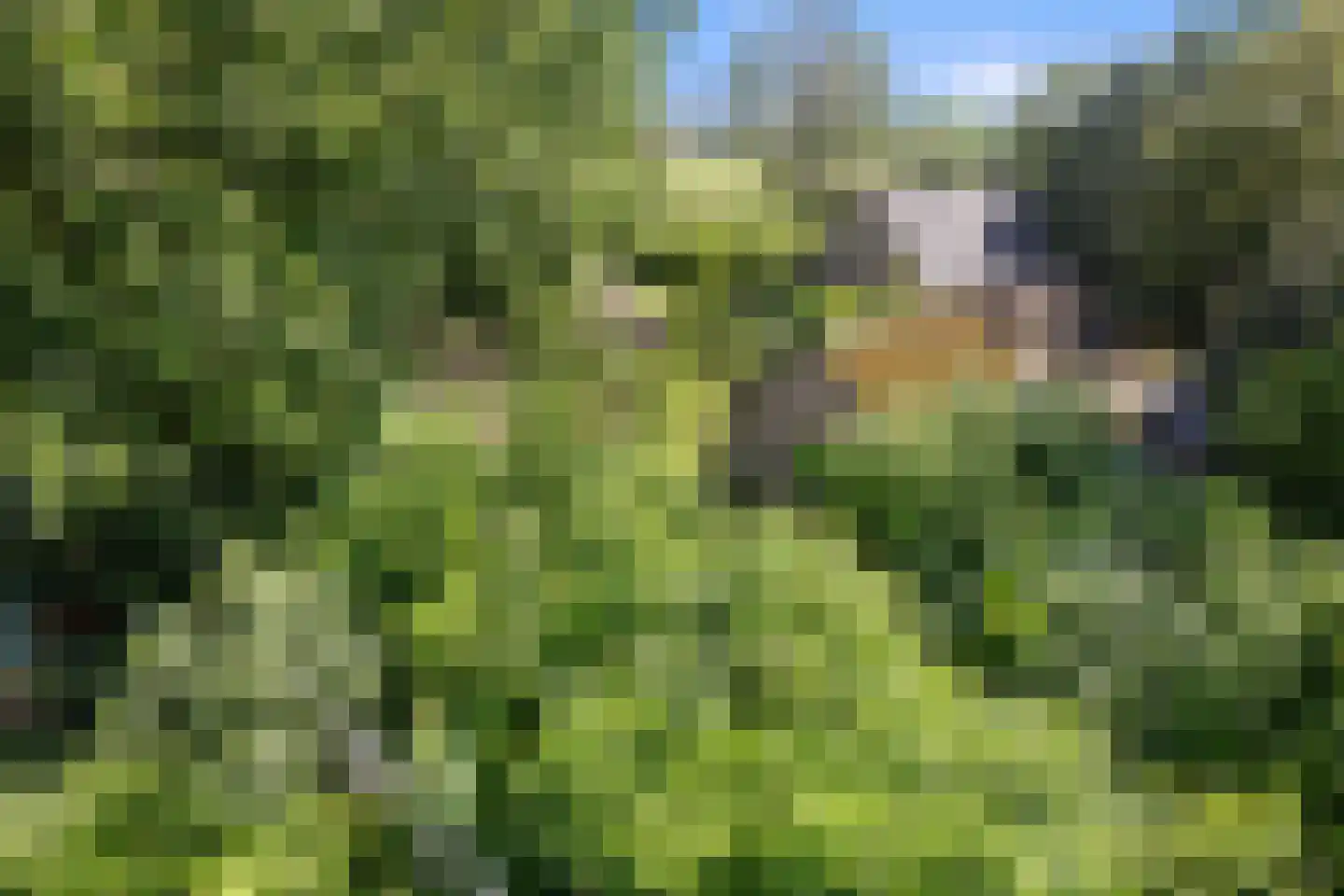 De Hogert 1 Gemonde thumbnail 17