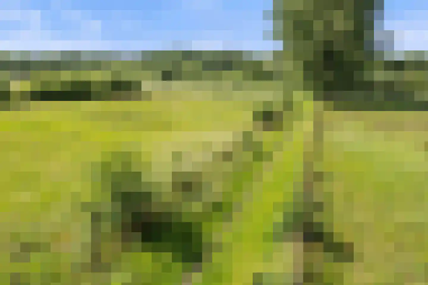 De Hogert 1 Gemonde thumbnail 19