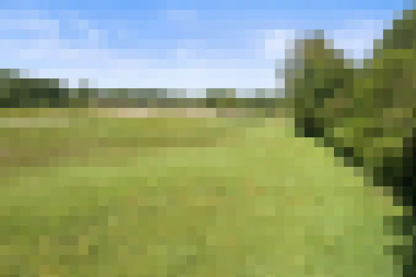 De Hogert 1 Gemonde thumbnail 20