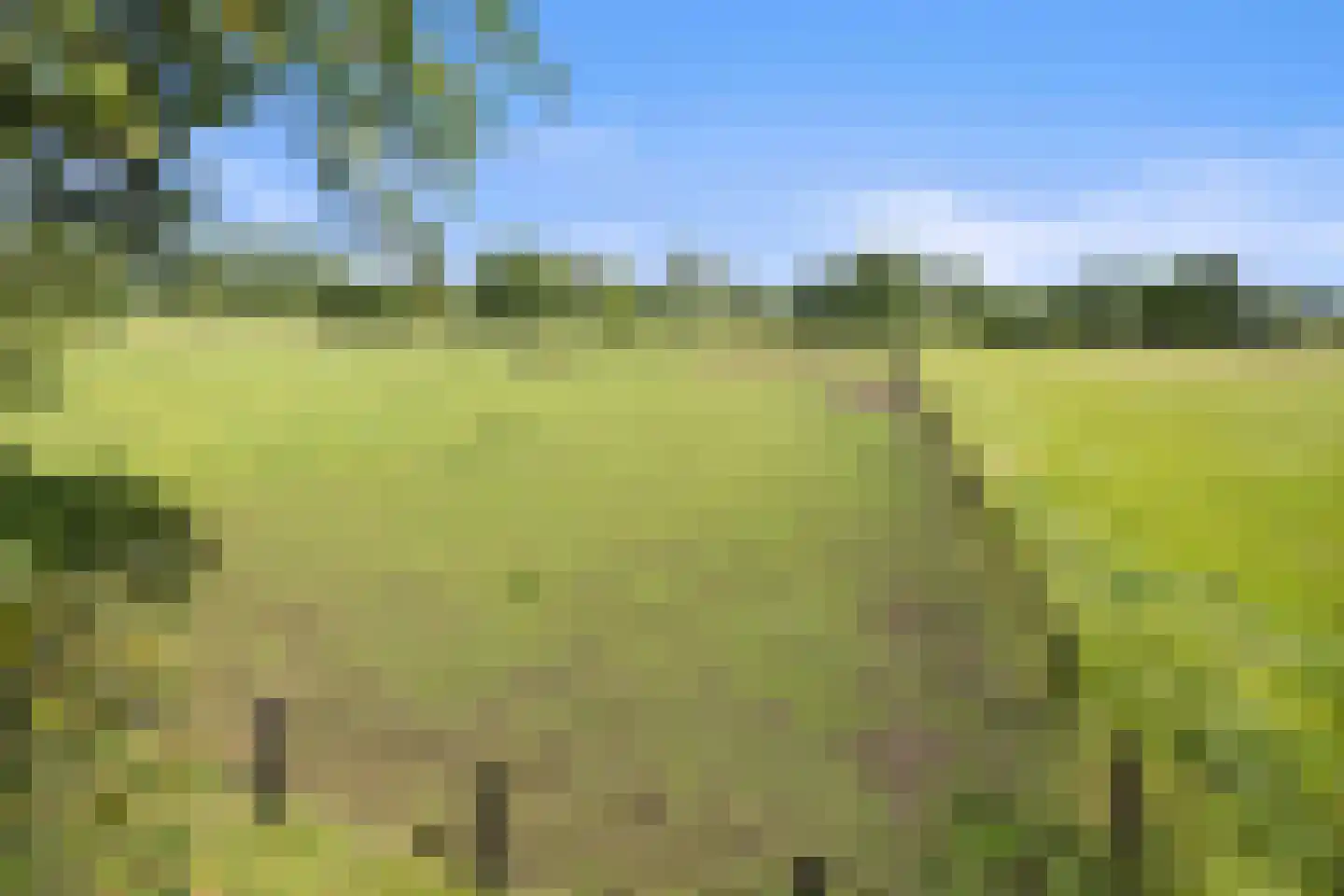De Hogert 1 Gemonde thumbnail 25