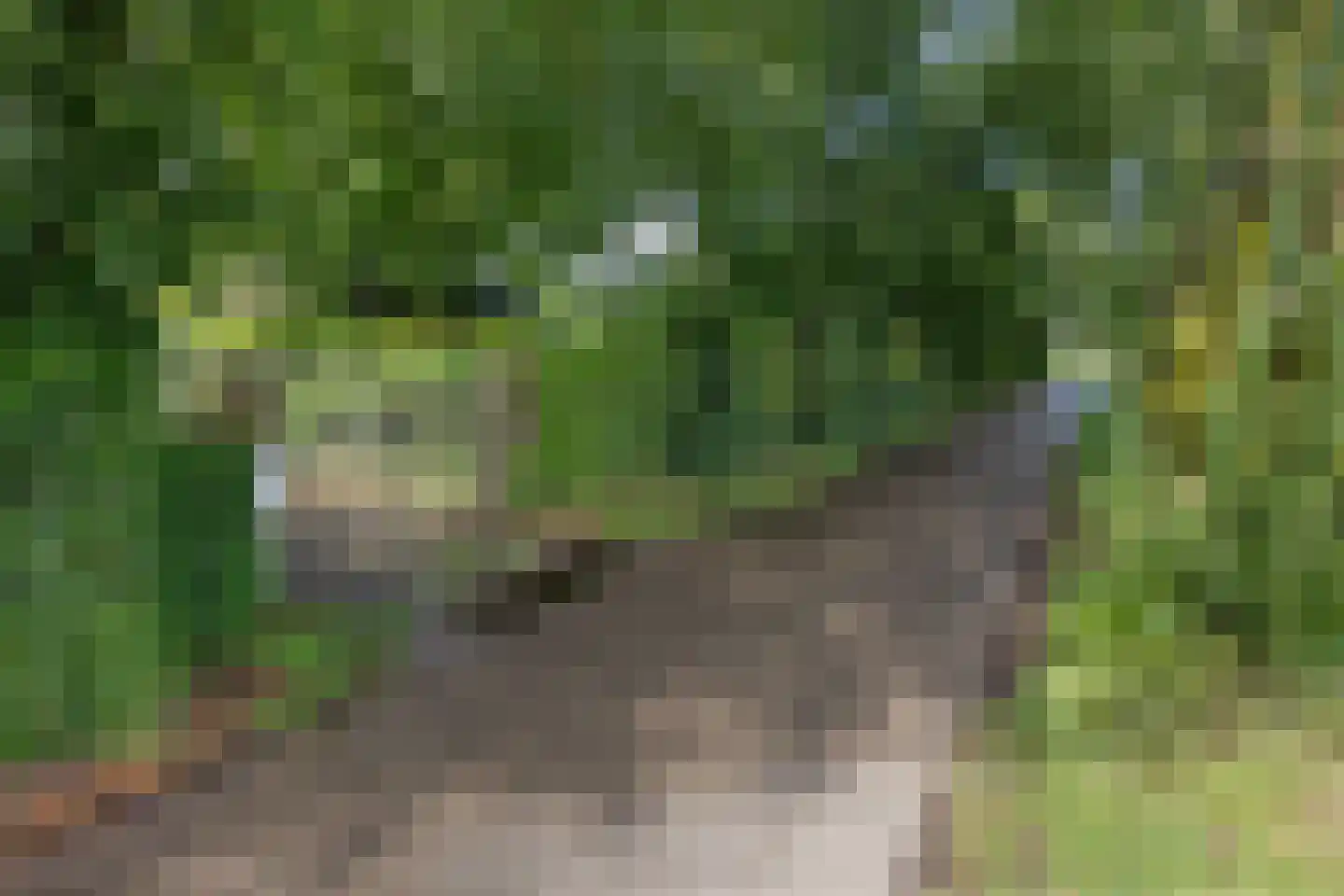 De Hogert 1 Gemonde thumbnail 26
