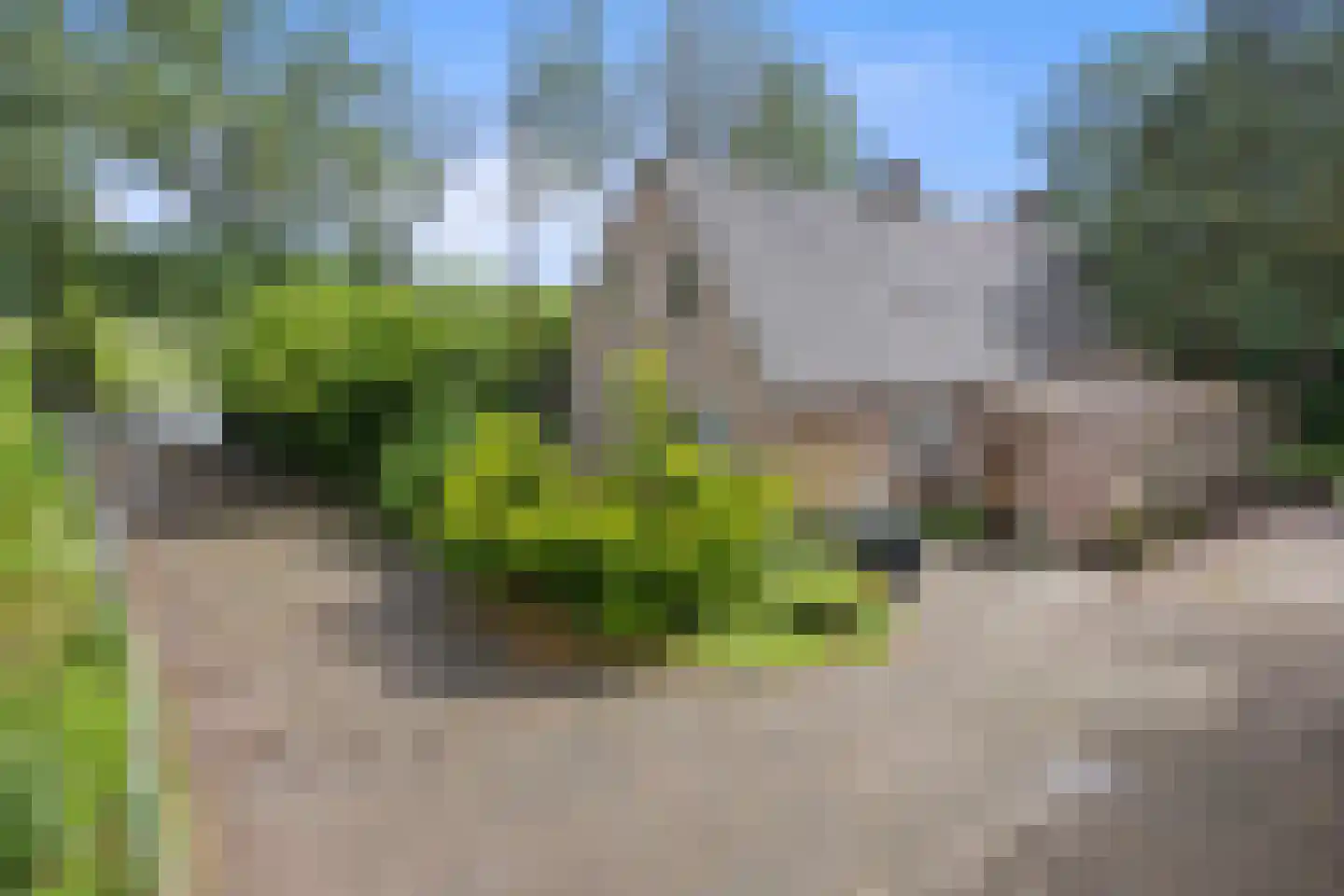 De Hogert 1 Gemonde thumbnail 27
