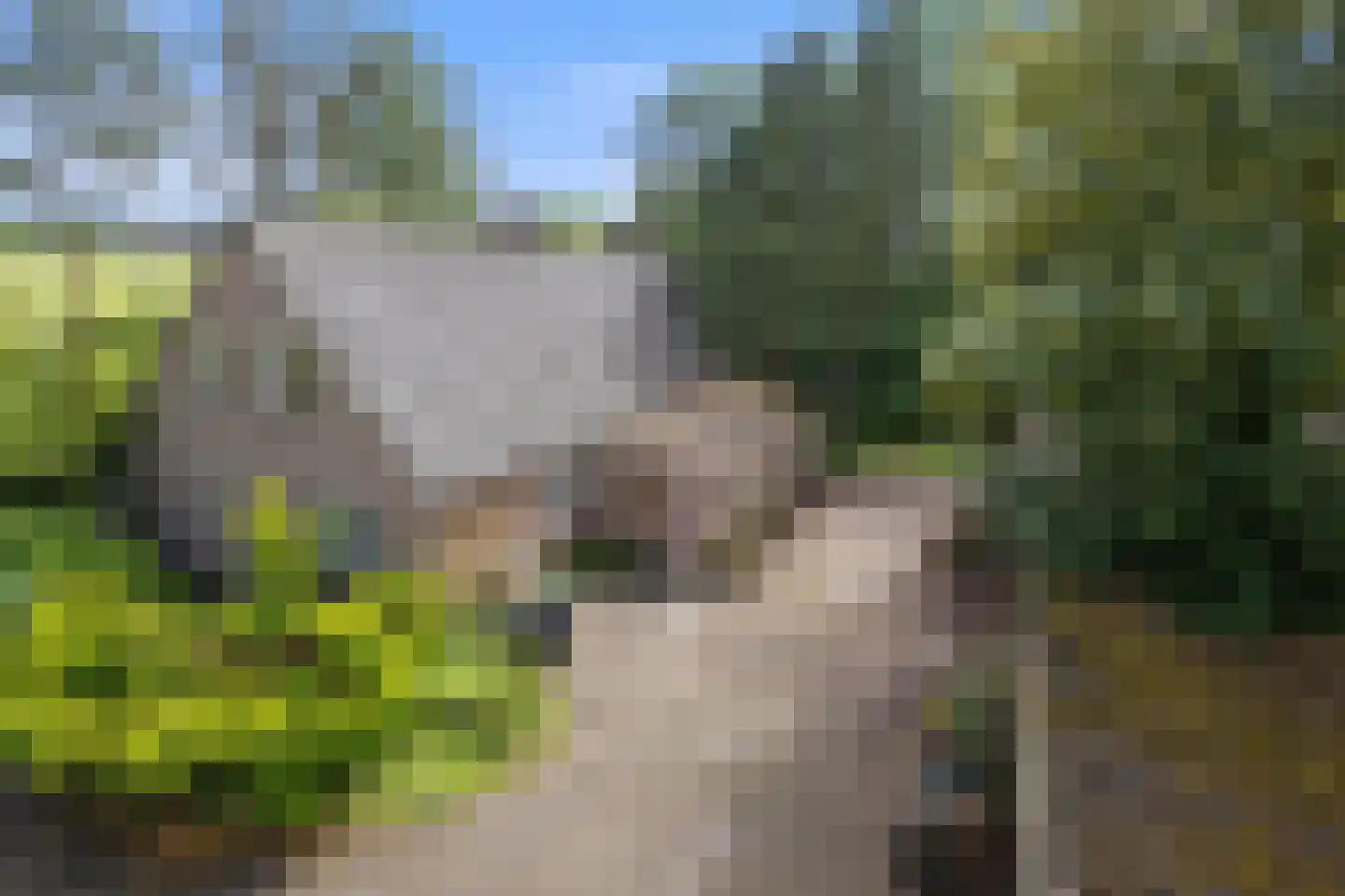De Hogert 1 Gemonde thumbnail 28