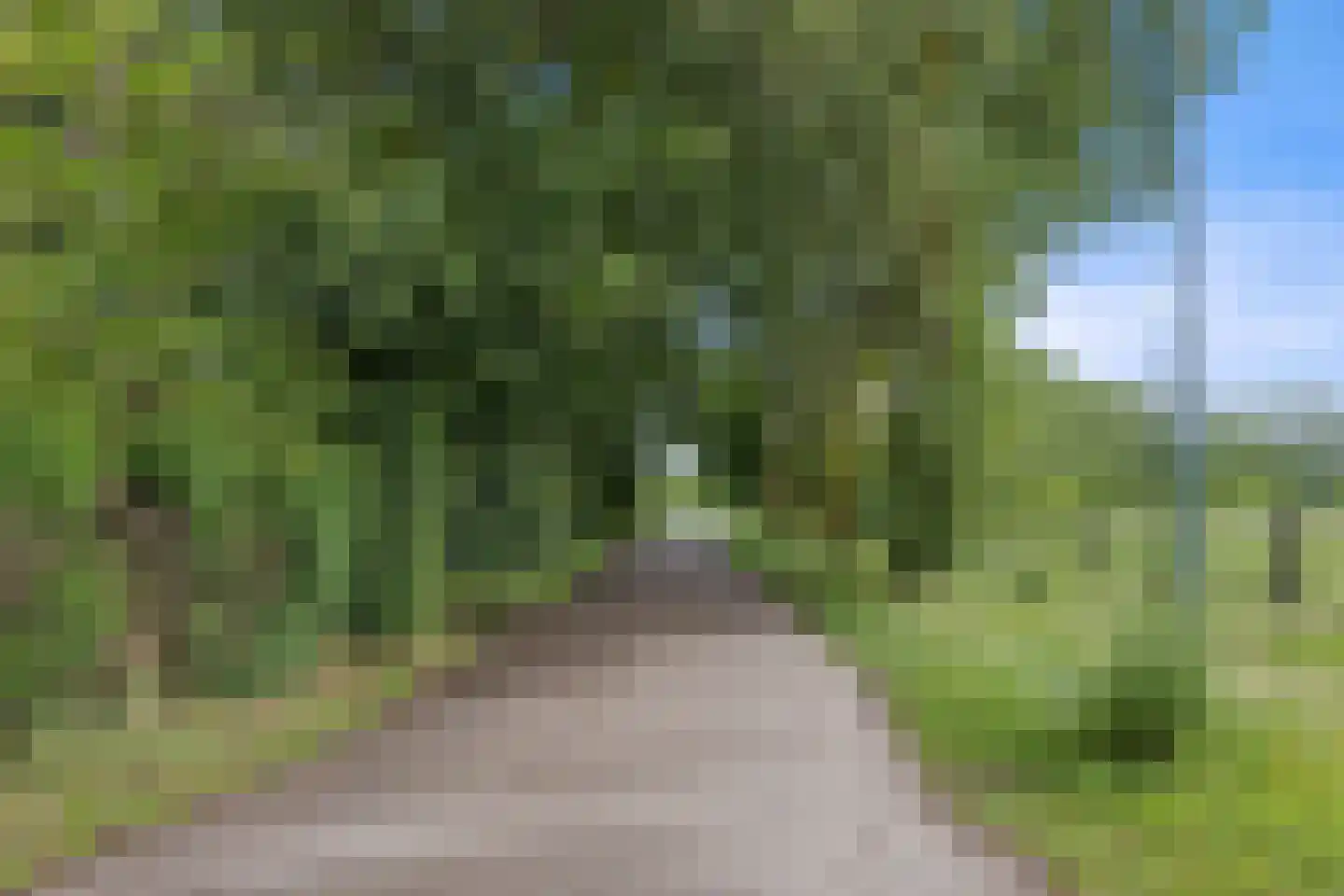 De Hogert 1 Gemonde thumbnail 30