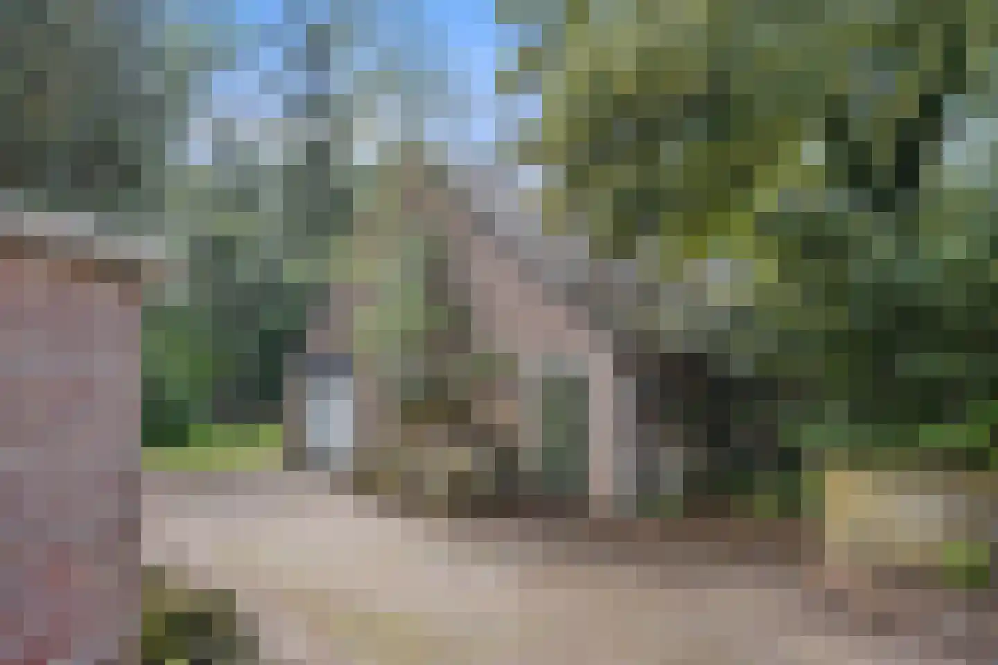 De Hogert 1 Gemonde thumbnail 8