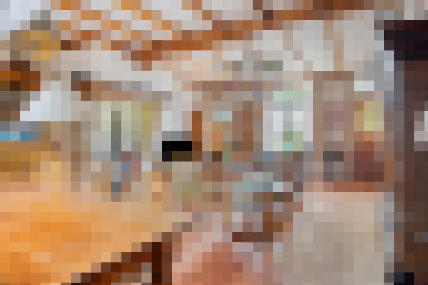 De Hogert 2 A Gemonde thumbnail 11
