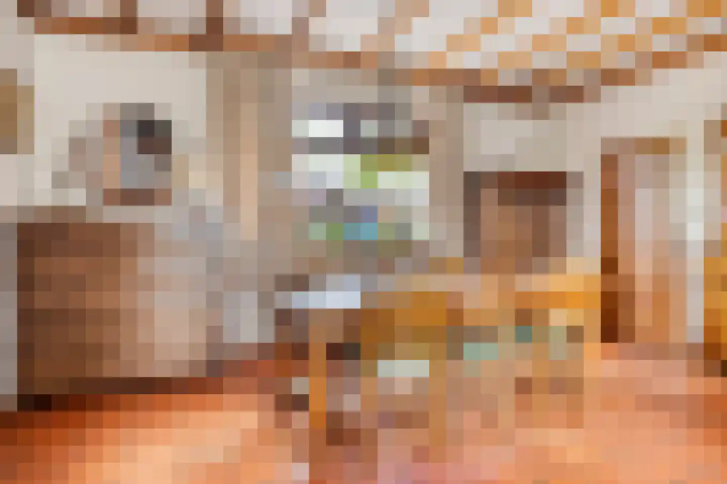 De Hogert 2 A Gemonde thumbnail 16