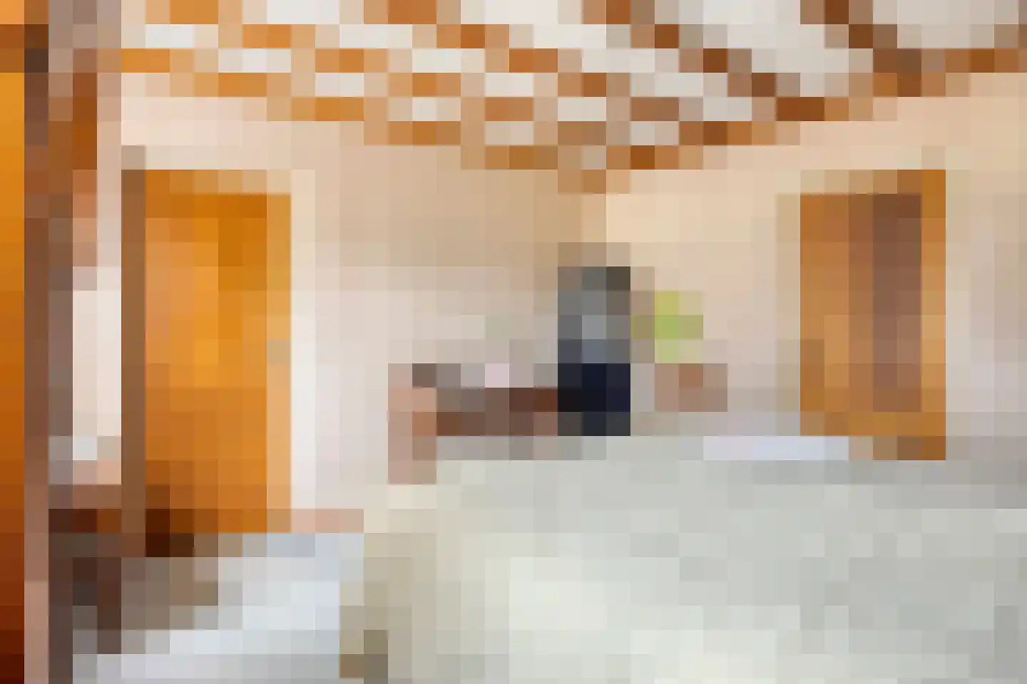 De Hogert 2 A Gemonde thumbnail 18