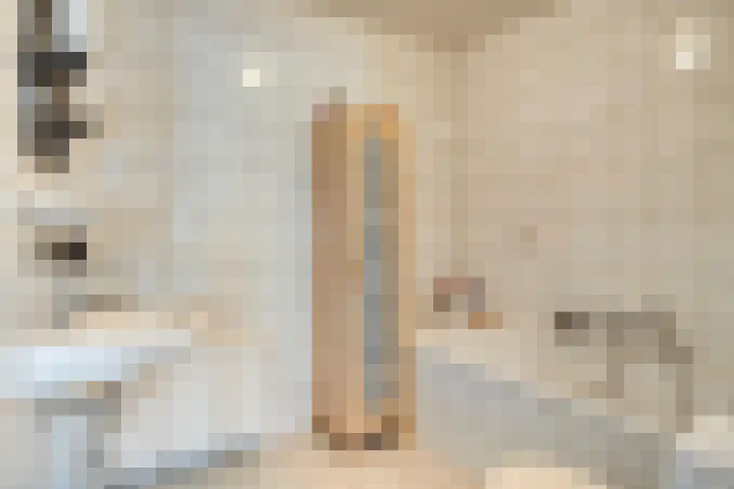 De Hogert 2 A Gemonde thumbnail 19