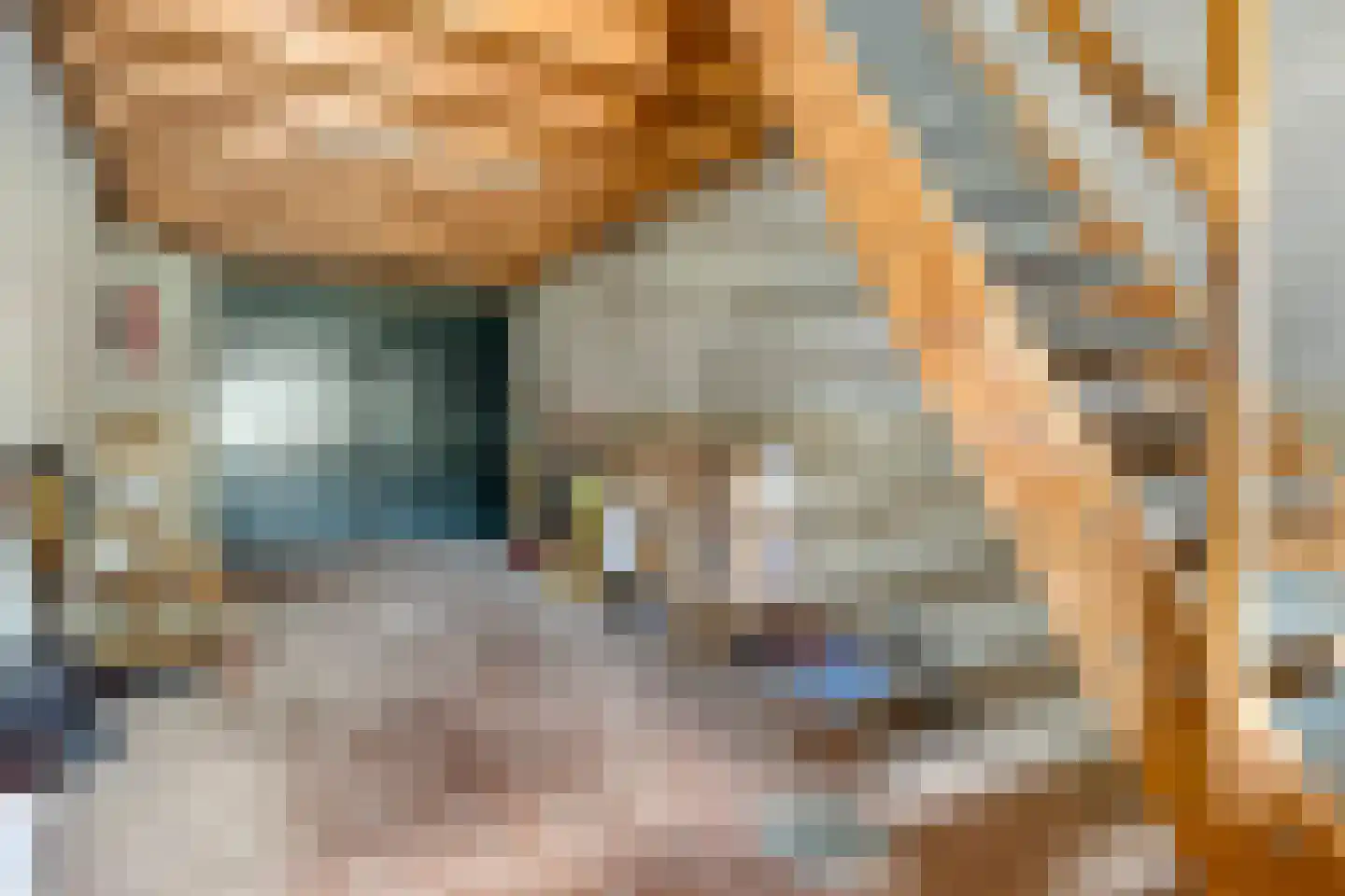 De Hogert 2 A Gemonde thumbnail 28