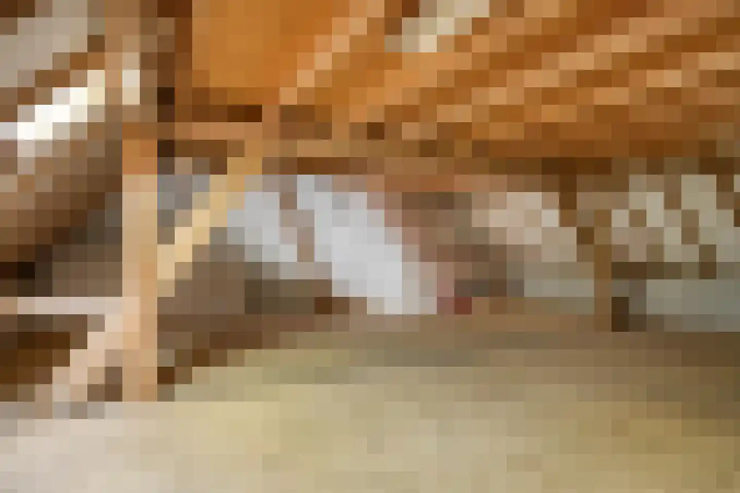 De Hogert 2 A Gemonde thumbnail 30