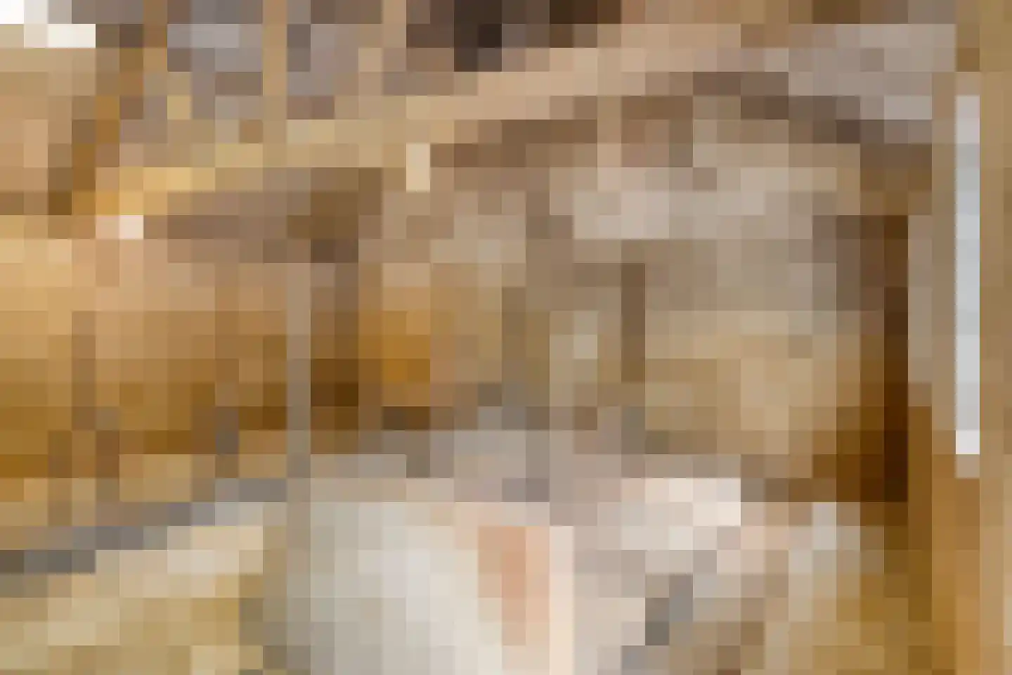 De Hogert 2 A Gemonde thumbnail 36