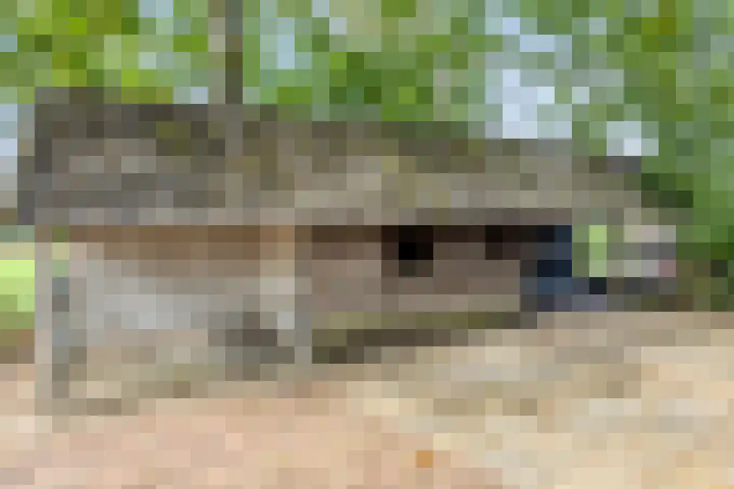 De Hogert 2 A Gemonde thumbnail 40