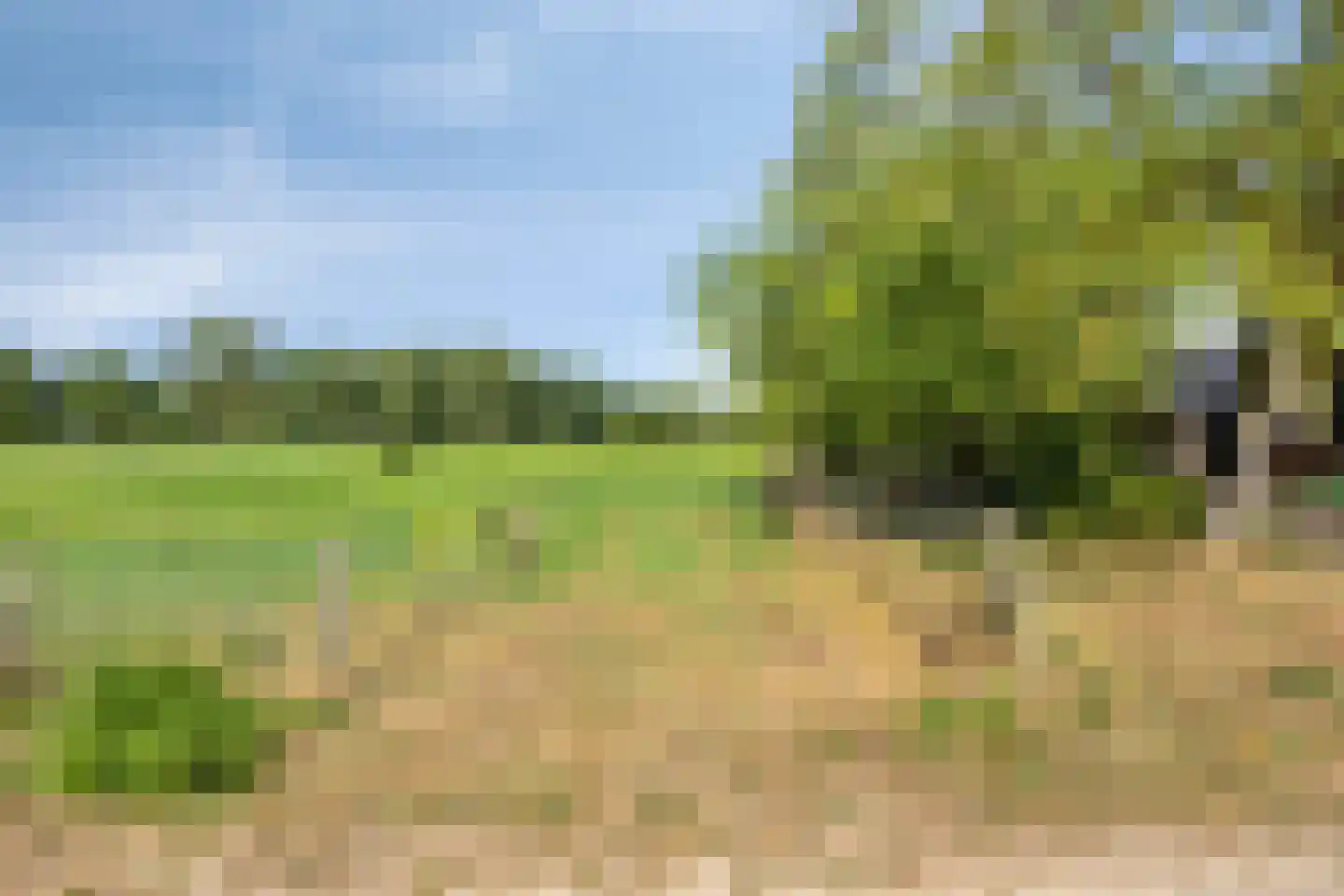 De Hogert 2 A Gemonde thumbnail 41