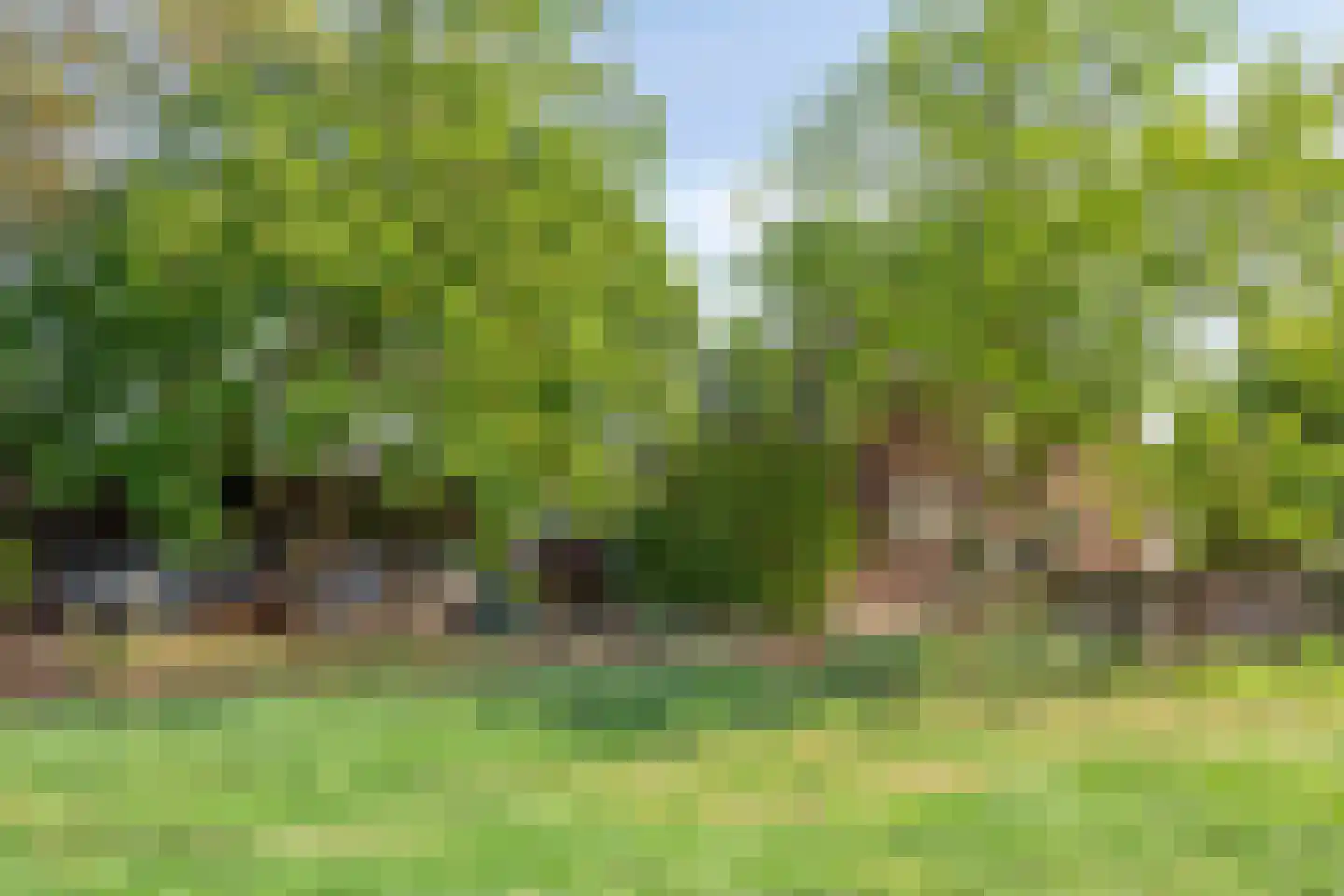 De Hogert 2 A Gemonde thumbnail 42