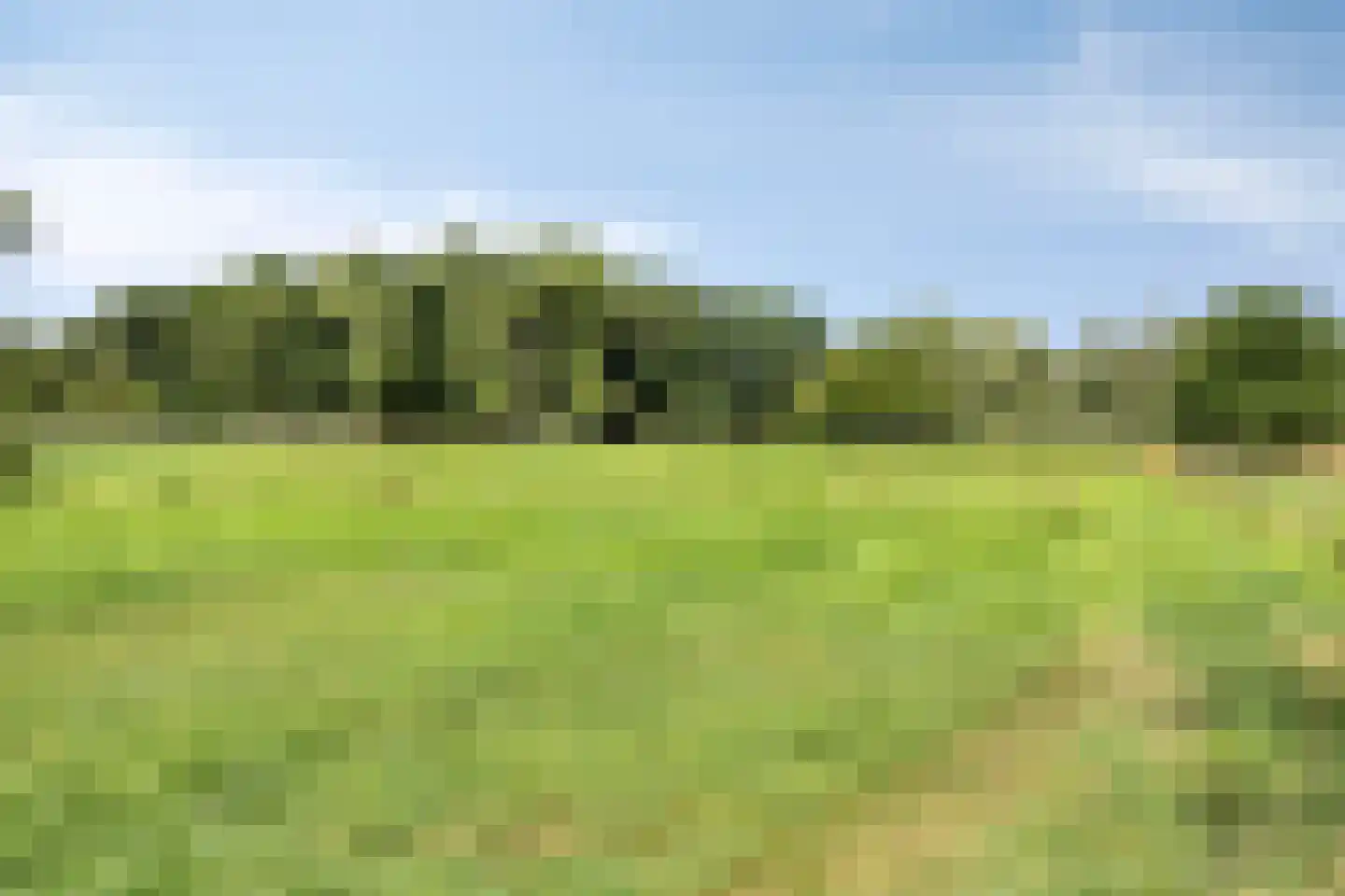 De Hogert 2 A Gemonde thumbnail 43