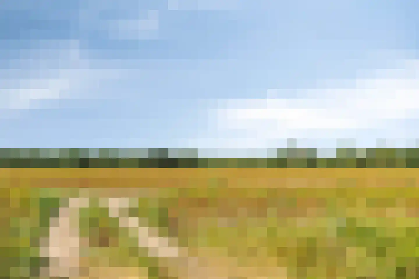 De Hogert 2 A Gemonde thumbnail 51