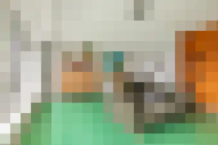 De Hoghe Weijdt 11 Heiloo thumbnail 19