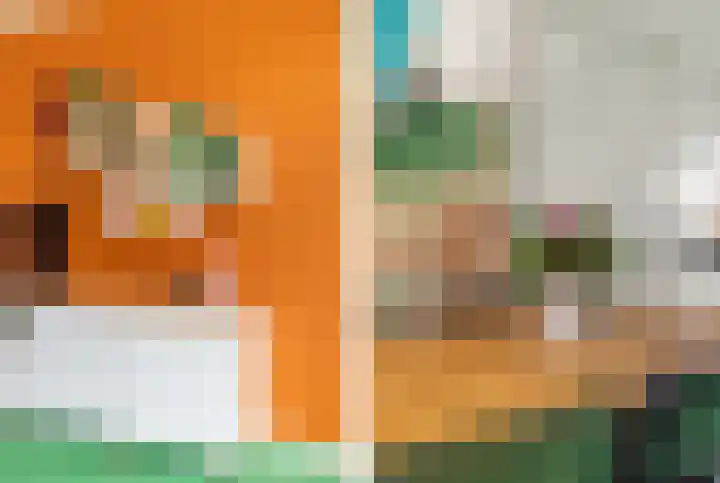 De Hoghe Weijdt 11 Heiloo thumbnail 20