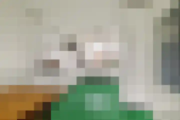 De Hoghe Weijdt 11 Heiloo thumbnail 23