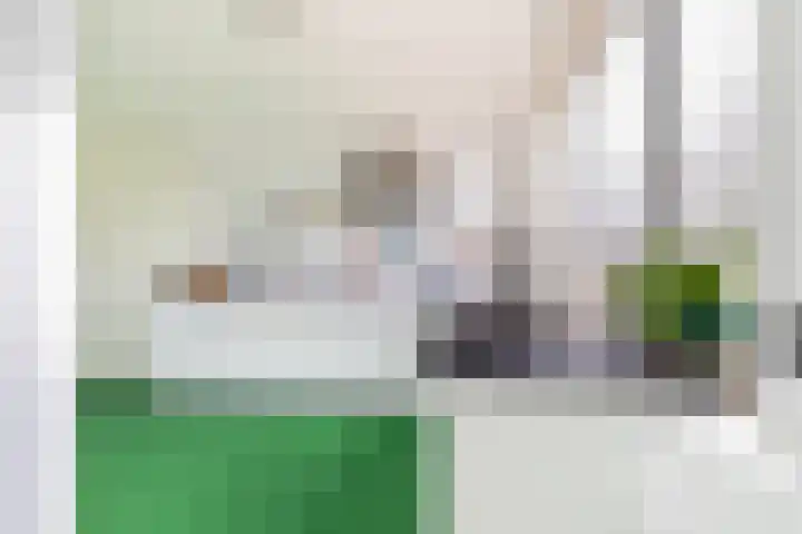De Hoghe Weijdt 11 Heiloo thumbnail 26