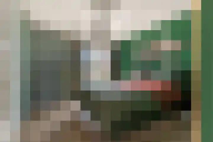 De Hoghe Weijdt 11 Heiloo thumbnail 33