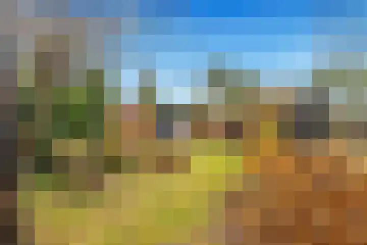 De Hoghe Weijdt 11 Heiloo thumbnail 51