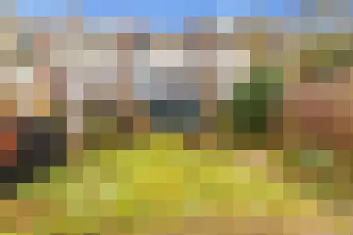 De Hoghe Weijdt 11 Heiloo thumbnail 53