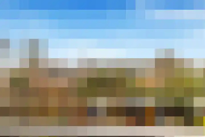 De Hoghe Weijdt 11 Heiloo thumbnail 55