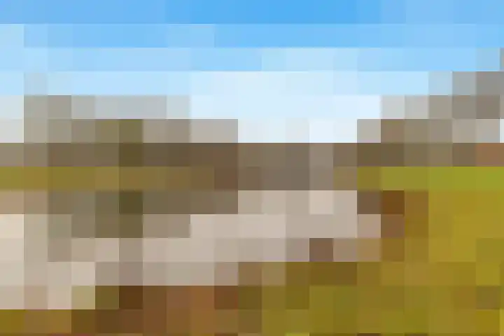 De Hoghe Weijdt 11 Heiloo thumbnail 57
