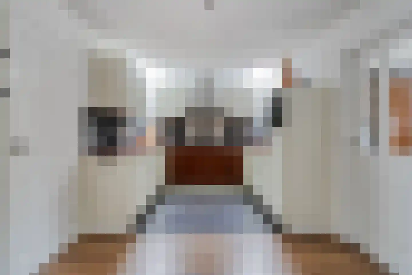 De Hogt 1 Waalre thumbnail 11
