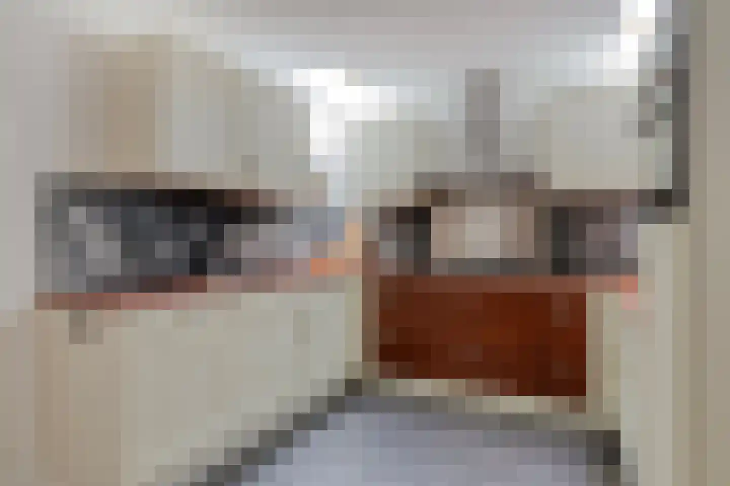 De Hogt 1 Waalre thumbnail 12